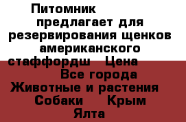 Питомник KURAT GRAD предлагает для резервирования щенков американского стаффордш › Цена ­ 25 000 - Все города Животные и растения » Собаки   . Крым,Ялта